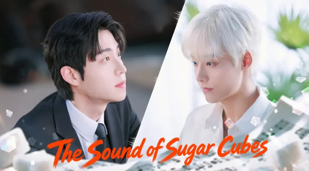The Sound of Sugar Cubes (2026)