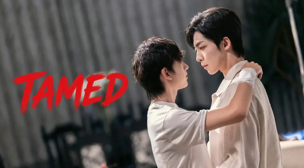 TAMED (2026)
